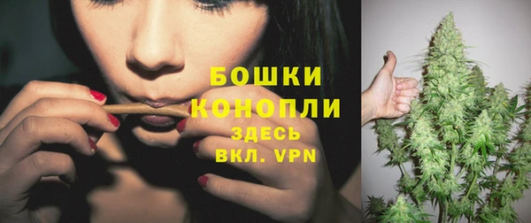 СК Мегион
