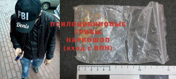 а пвп мука Абаза