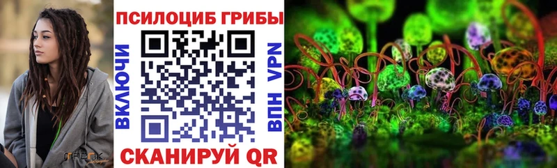 закладка Алдан Псилоцибиновые грибы Psilocybe